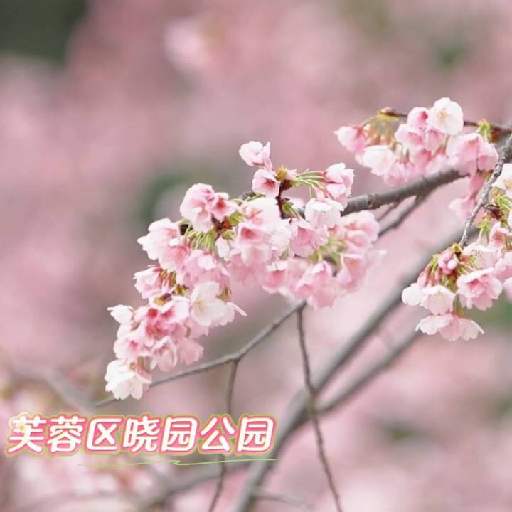 ܽ�ذl(f��)���@��(g��)�����ܽ�؅^(q��)�Ԉ@���@��һ���ѻ�֮�s����ѻ�